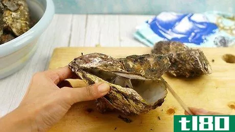 如何用于工艺品的清洁牡蛎壳(clean oyster shells for crafts)