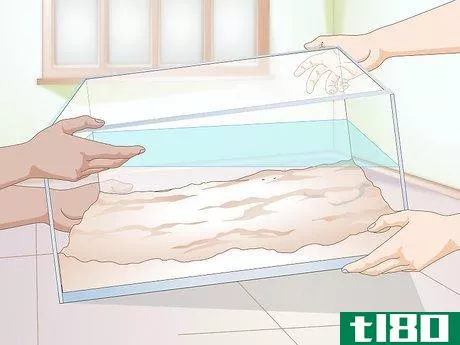 Image titled Clean a Turtle Tank Step 11