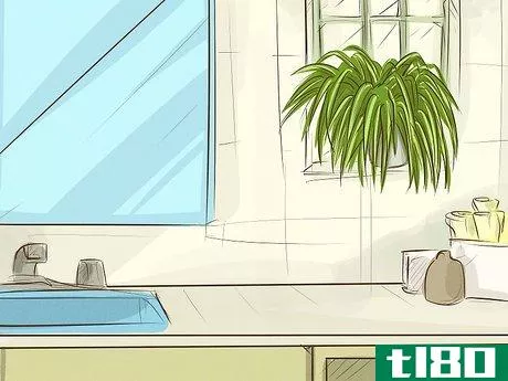 Image titled Choose Houseplants for the Bathroom Step 1