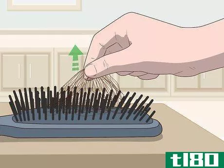 Image titled Clean a Paddle Brush Step 4.jpeg