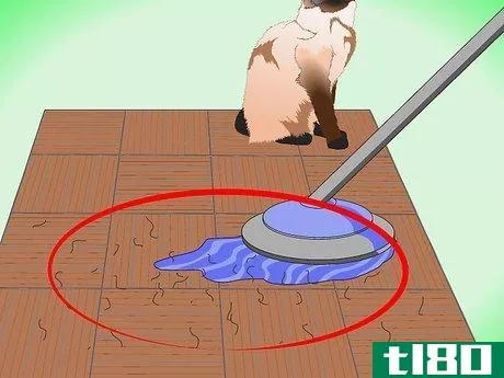 Image titled Clean Up Cat Hair Step 4