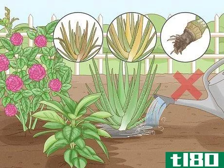 Image titled Choose the Best Time for Watering a Garden Step 7