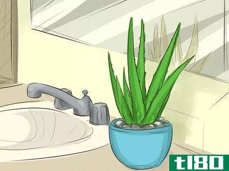 Image titled Choose Houseplants for the Bathroom Step 3