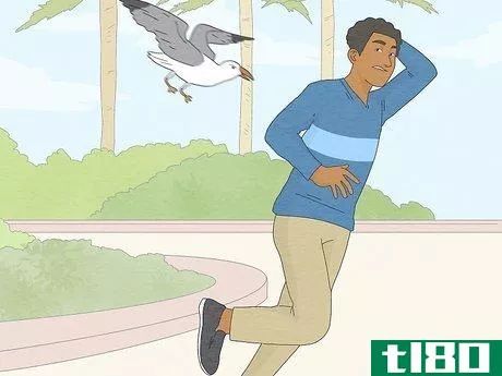 Image titled Deal with Aggressive Seagulls Step 9