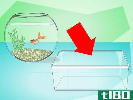 如何把鱼缸里的水换一下(change the water in a fish bowl)