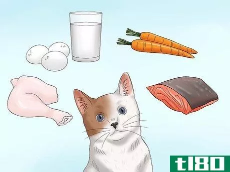 Image titled Cook for Cats Step 2