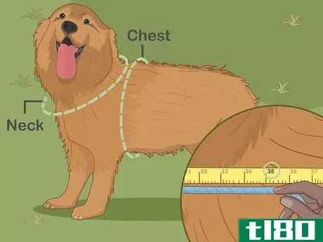 Image titled Choose the Right Life Jacket for Your Dog Step 2
