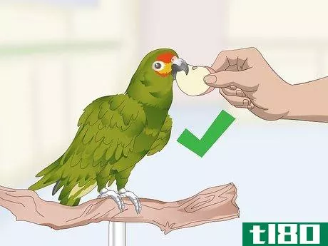Image titled Deal with an Aggressive Amazon Parrot Step 10
