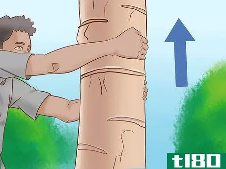 Image titled Climb a Tree With No Branches Step 14