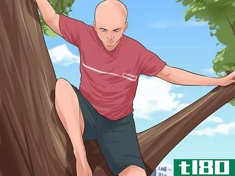 Image titled Climb a Tree Step 14
