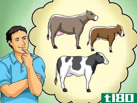 如何选择一个好的奶牛品种(choose a good dairy cow breed)