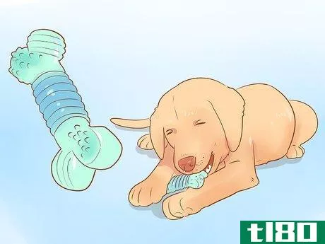 Image titled Cure a Dog's Bad Breath Step 7