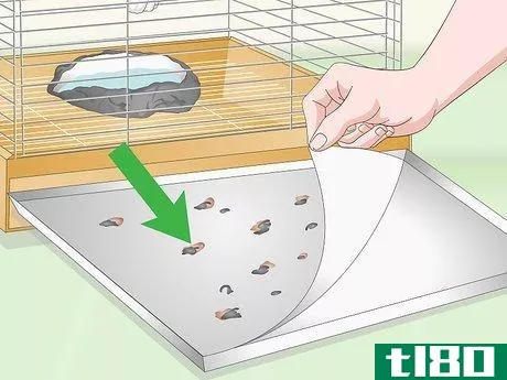 Image titled Choose a Cage for a Cockatoo Step 11
