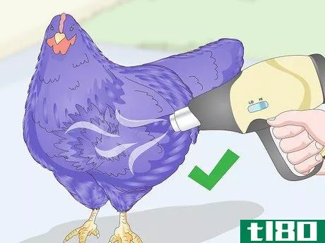 Image titled Color Chickens Step 14