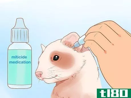 Image titled Clean a Ferret's Ears Step 10