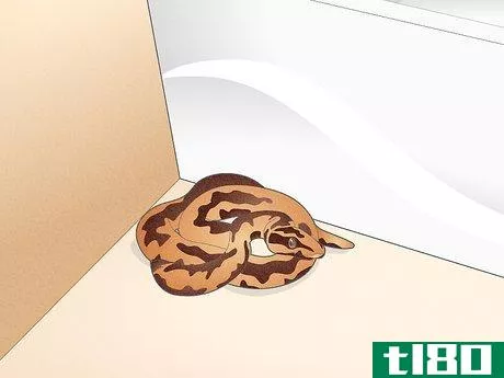 Image titled Deal With a Snake in the House Step 6