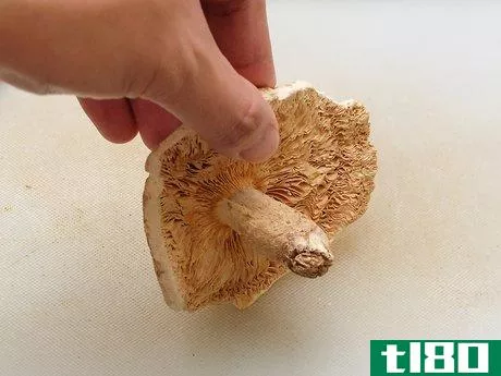 Image titled Cut Mushrooms Step 4