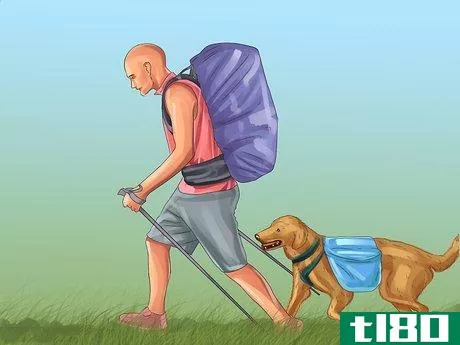 Image titled Choose a Good Hiking Dog Step 12