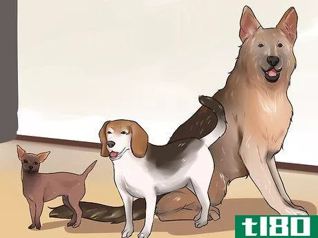 Image titled Choose the Right Dog Breed to Protect Your Home Step 15