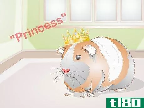 Image titled Choose Your Guinea Pig's Name Step 11