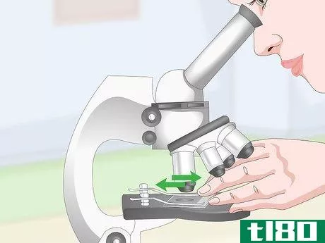Image titled Clean Microscope Lenses Step 12