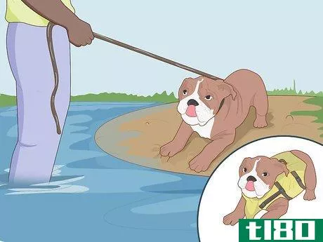 Image titled Choose the Right Life Jacket for Your Dog Step 11