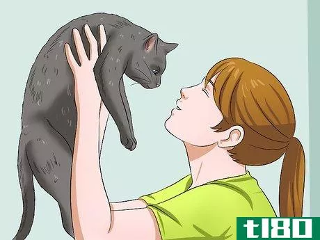 Image titled Give a Cat Medicine Step 14