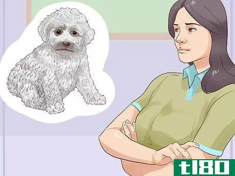Image titled Choose a Hypoallergenic Dog Step 12