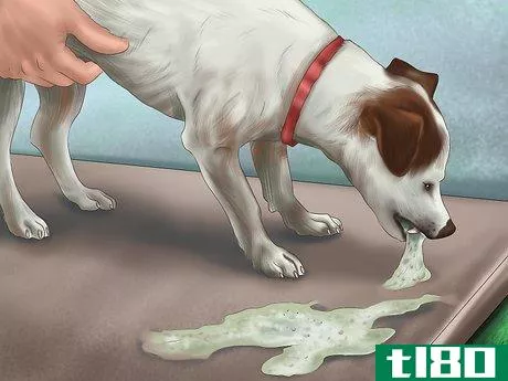 Image titled Comfort Your Dog Step 13