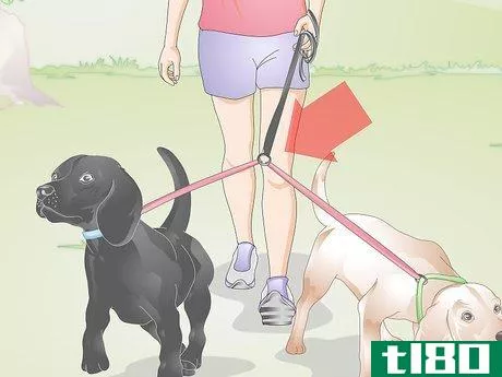 Image titled Choose a Dog Leash Step 9