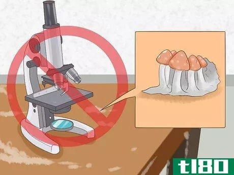 Image titled Clean a Microscope Step 12