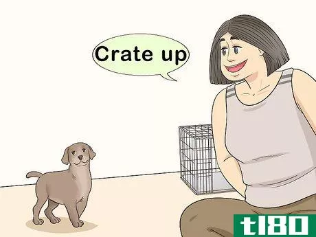Image titled Crate Train a Puppy During the Day Step 15