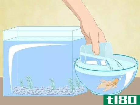 Image titled Clean a Betta Fish Tank Step 5