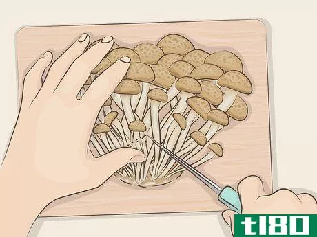 Image titled Cook Bunashimeji Mushrooms Step 14