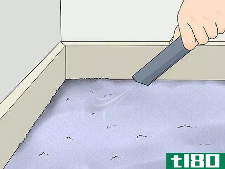如何清洁地毯边缘(clean carpet edges)