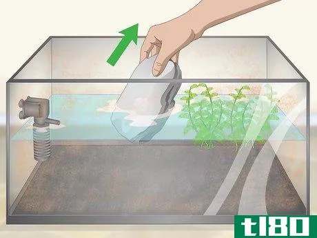 如何清洗一个旧鱼缸(clean an old fish tank)