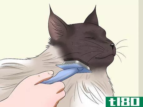 Image titled Prevent Matted Cat Hair Step 7