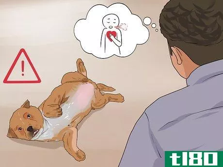 Image titled Cope With Canine Epilepsy Step 2