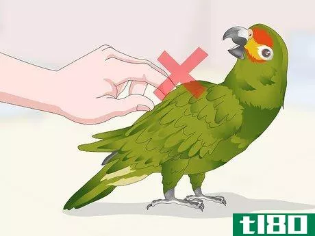 Image titled Deal with an Aggressive Amazon Parrot Step 15