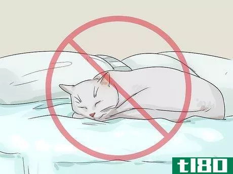 Image titled Change Your Cat's Routine Step 13