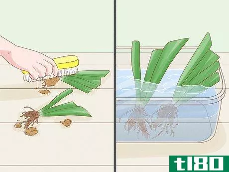 Image titled Cut Back Irises in the Fall Step 11