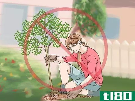 Image titled Choose Plants for Good Feng Shui Step 6