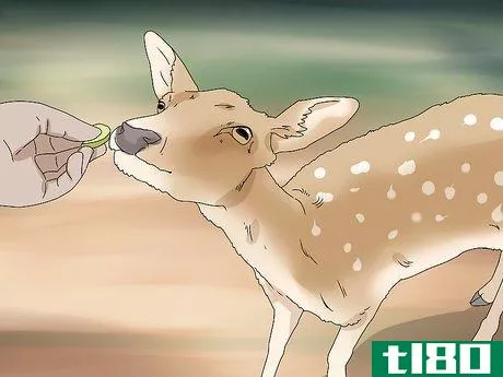 Image titled Feed Deer Step 10