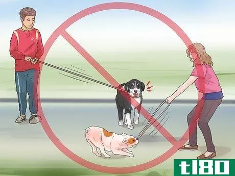 Image titled Exercise Your Puppy Step 11