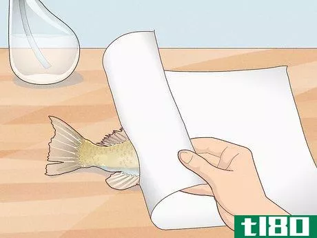 Image titled Do Gyotaku Fish Rubbing Step 11