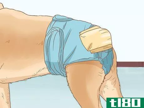 Image titled Diaper Your Dog with Disposable Dog Diapers Step 11