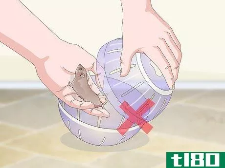Image titled Exercise Your Gerbil Step 12
