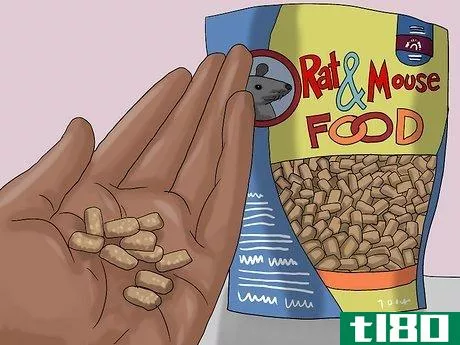 Image titled Feed a Pet Mouse Step 4