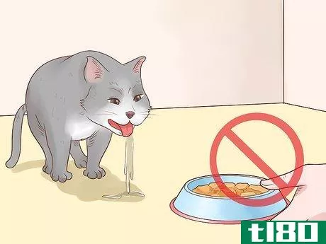 Image titled Feed a Feline Cancer Patient Step 10