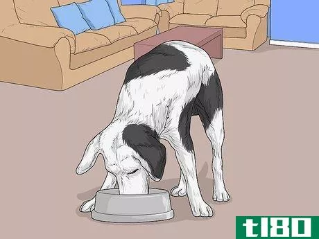 Image titled Feed a Sick Dog Step 9